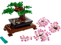 bonsai bonsai bonsai bonsai bonsai bonsai bonsai bons